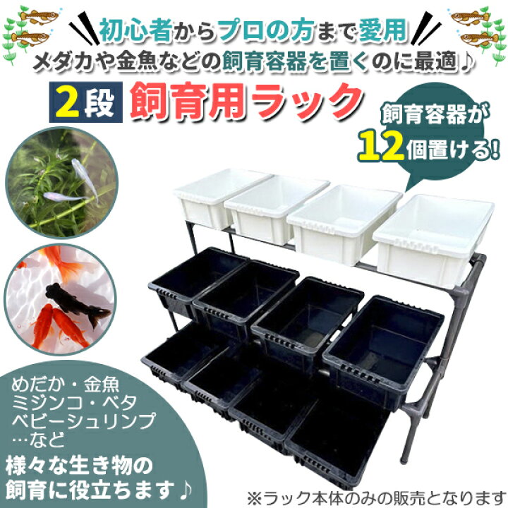 楽天市場】メダカ飼育黒ラック 2段12個置き めだか飼育棚 めだか飼育棚 