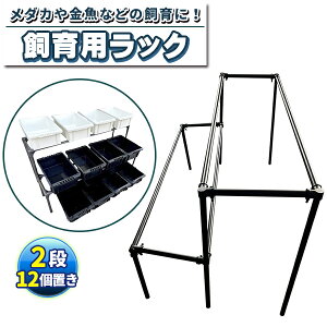 _J獕bN 2i12u ߂I ߂I eI ߂eYBe rIg[v ]EV PSB ~WR |{ jq