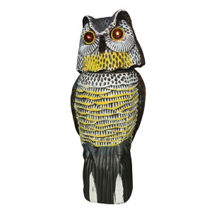 悯tNE Uӂ낤 悯ObY 悯 tNE JX ӂ낤 ng 