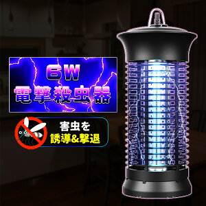 dE ߒ UVzE RoG@  6W ȃGl ܕsp@L≌Ȃ É ԂybgɂS