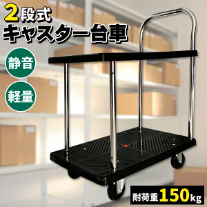  LX^[ ÂȎ 2i 150 őύډ׏d 150kg É  LX^[t H X 