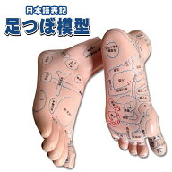 足つぼ 模型 足裏 反射区 日本語 表記 マッサージ ツボ押し 両足 左右 セット マネキン 足 つぼ あしつぼ…