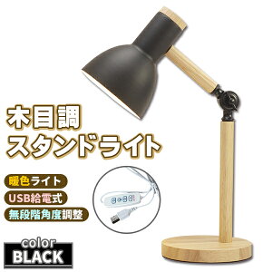 X^hCg LED gF ԐڏƖ fXNCg ubN  e[uCg ドCg VF[hv Ɩ  Q v[g Mtg 蕨 q  킢
