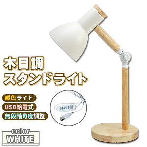 X^hCg LED gF ԐڏƖ fXNCg zCg  e[uCg ドCg VF[hv Ɩ  Q v[g Mtg 蕨 q  킢