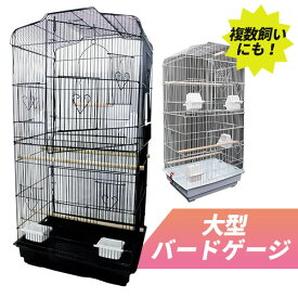 鳥かご インコ ケージ 大型 カゴ スタンド 黒 網 大きい 多頭飼い 餌入れ エサ入れ えさ入れ 止まり木 とまり木 セキセイインコ オカメインコ 掃除しやすい バード ゲージ かご 鳥カゴ 縦長 文鳥 複数飼い ブランコ 水入れ 水飲み おしゃれ オシャレ 黒 白 全2色