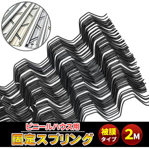 핢 XvO 250{ rj[nEX rjybg_POtBŒXvO rj[Œ _Ǝ