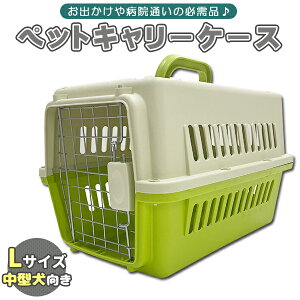 ybgL[P[X LTCY n[h^Cv ^ O[  zCg  n[h ړpQ[W ybg P[W P[X L[ L[obO p   ^ ^ ړ y y