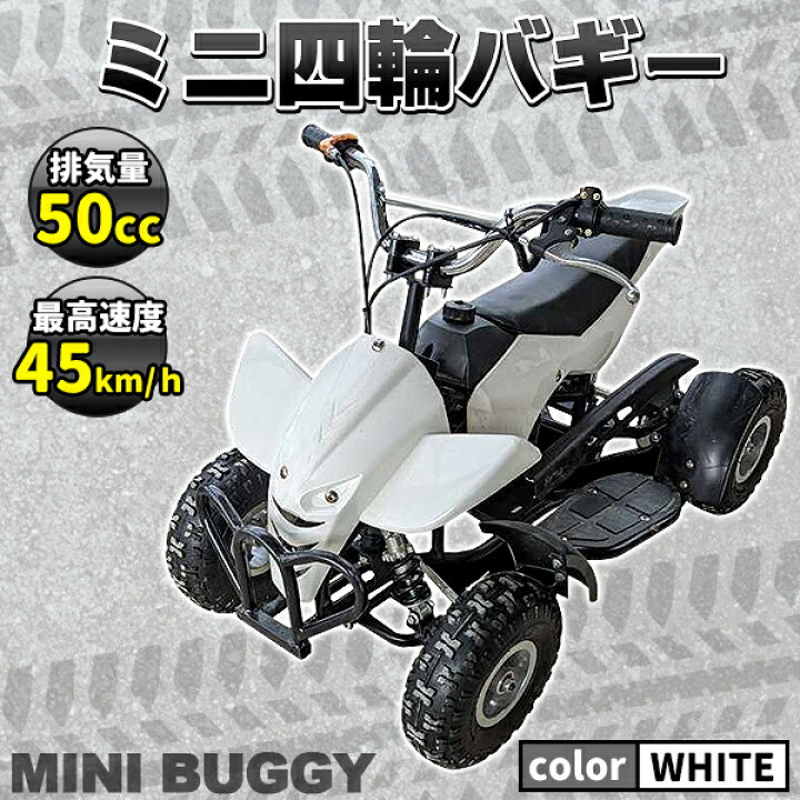 5/中旬入荷予定 完成品で発送します 四輪バギー セミバギー 公道走行 