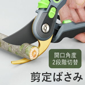 ΂  nT~ |΂ }؃nT~ K[fjO ؂΂ O[