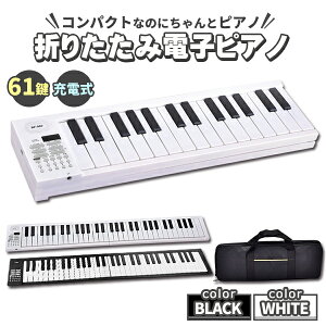 ピアノ キーボード ケース」の人気商品一覧・価格比較 - 価格.com