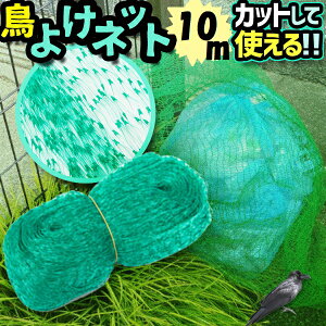 悯lbg lbg 10m 悯 | K[fjO S~u b ΍  Q x_ oRj[  pi hlbg h