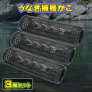 ȒPg ߊl  EN^Cv d| Ȃ q  3Zbg