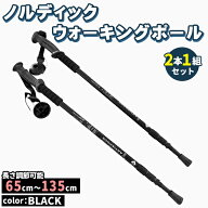 トレッキングポール 2本セット ウォーキングステッキ 伸縮 軽量 アンチショック アルミ ステッキ 杖 ノル…