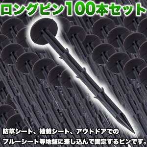 Os 20cm 100{ Zbg ߋ s yO Y n Œ Ԃ ɂ  O B  s Œ肷B  ubN | K[fjO _ eg Lv AEghA s