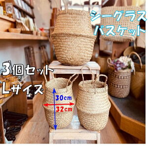 V[OX oXPbg 2EFC oXPbg LTCY 3Zbg  oXPbg IKEA JS [ [oXPbg AWA VRf  W32cm H30cm