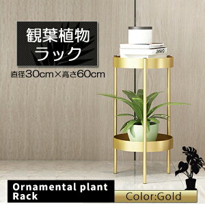 t[X^h v^[ ϗtA  bN  I X^h 2i ACA ی^ RpNg gݗ    CeA  S[h 60cm  Aؔ ԑ u X^h 