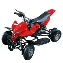 楽天市場】ポケバイ（4輪バギー（ATV）｜ATV・トライク・スノー 
