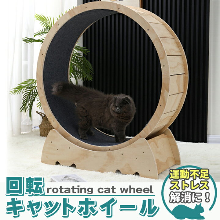 楽天市場】キャットホイール 猫専用ルームランナー 猫 回し車 猫 