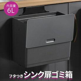 ゴミ箱 キッチン 6L ふた付き 壁掛け 扉にかける 角型 小型 コンパクト スリム 小さい 台所 生ゴミ 臭わない ハエ コバエ対策 蓋付き 四角 袋が見えない コンビニ袋 レジ袋 ドア 吊り下げ 引っ掛け 引っ掛けるタイプ 吊るす 一人暮らし 洗面所 玄関 6リットル 黒 ブラック