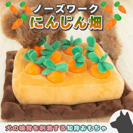 ノーズワーク 犬 にんじん ペットおもちゃ ペット用品 知育玩具 ぬいぐるみ 人参 犬 SNSで大人気 いぬ 猫 ねこ 激安 遊び場所 性格改善 運動不足 嗅覚訓練 ストレス解消 犬歯磨き 食いちぎる対策 8個