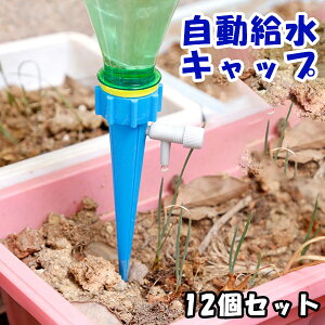 Lbv 12Zbg 傤 ybg{g  蓖  U K[fjO | Ԓd A  ~ 