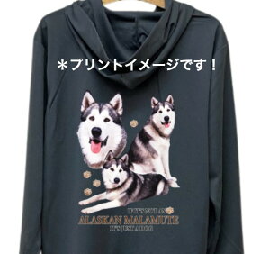 yzAXJ}~[g iW2j hCWbv p[J[   U X|[c C }EGA WbvAbv O UVJbg fB[X Y jZbNX Vv 