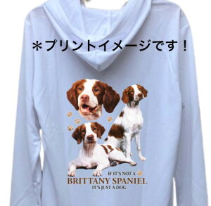 yzu^j[XpjG iW2jhCWbv p[J[   U X|[c C }EGA WbvAbv O UVJbg fB[X Y jZbNX Vv 