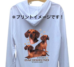 �y���������z�_�b�N�X�t���g �_�b�N�X�t���h �i�W��2�j �h���C�W�b�v �p�[�J�[ ���� ���� �U�� �X�|�[�c �C �}�����E�G�A �W�b�v�A�b�v ���O�� UV�J�b�g ���f�B�[�X �����Y ���j�Z�b�N�X �V