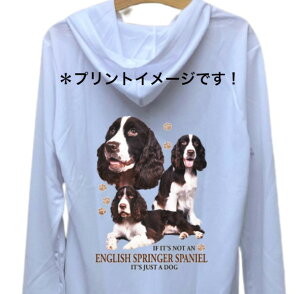 yzCObVXvK[XpjG iW2j hCWbv p[J[   U X|[c C WbvAbv O UVJbg fB[X Y jZbNX Vv 