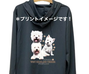 yzEGXeB[ zCgeA hCWbv p[J[   U X|[c C }EGA WbvAbv O UVJbg fB[X Y jZbNX Vv 킢