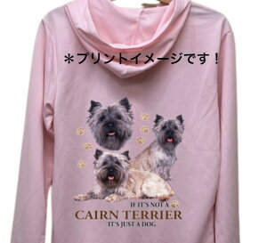 yzPA[eA PAeA iW2j hCWbv p[J[   U X|[c C }EGA WbvAbv O UVJbg fB[X Y jZbNX V