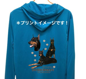 yzh[x} iW2j hCWbv p[J[   U X|[c C }EGA WbvAbv O UVJbg fB[X Y jZbNX Vv 킢 y