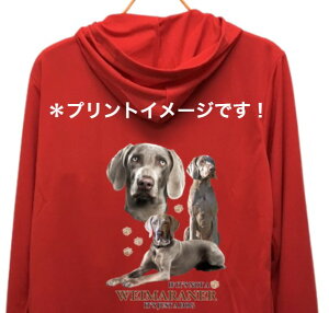 yzC}i[ iW2j hCWbv p[J[   U X|[c C }EGA WbvAbv O UVJbg fB[X Y jZbNX Vv 킢 y