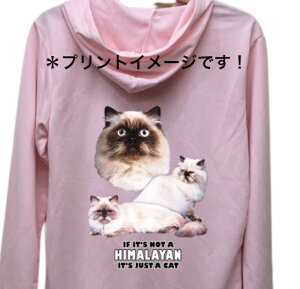 yzq} Lbg cat lR L ˂ hCWbv p[J[   U X|[c C }EGA WbvAbv O UVJbg fB[X Y jZbNX Vv