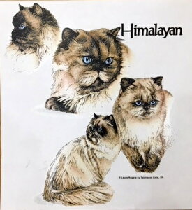 yzq}Lbg iWRj LlR hCWbv p[J[   U X|[c WbvAbv O UVJbg fB[X Y jZbNX Vv 킢 yA