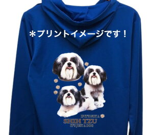 yzV[Y[ iW2jhCWbv p[J[   U X|[c WbvAbv O UVJbg fB[X Y jZbNX Vv 킢 yAbN  