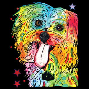 V[Y[̃XEFbgtWbvp[J[łB(lIj 