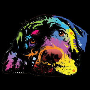 uh[g[o XEFbg tWbvp[J[ (lI1j vg hbO 킢 Mtg I[i[YObY LOi It 