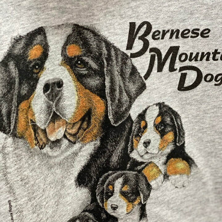 楽天市場 バーニーズマウンテンドッグ スウェット フルジップパーカー 集合r 犬プリント ドッグ かわいい ギフト オーナーズグッズ 記念品 オフ会 トラストワンポイント 送料無料 敬老の日 犬と動物 トラストワンポイント 楽天市場 バーニーズマウンテンドッグ スウェット フルジップパーカー 集合r 犬プリント ドッグ かわいい ギフト オーナーズグッズ 記念品 オフ会 トラストワンポイント 送料無料 敬老の日 犬と動物 トラストワンポイント