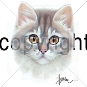 Lbgi01-LjL P 65cm a110cm fB[X Y jp JP 킢  ~J CObY UVJbg ɋ ϕ