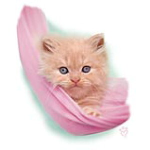 Lbgi82-LjL P 65cm a110cm fB[X Y jp JP 킢  ~J CObY UVJbg ɋ ϕ