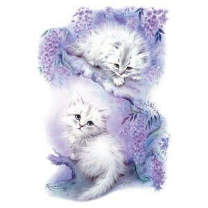 Lbgi85-LjL P 65cm a110cm fB[X Y jp JP 킢  ~J CObY UVJbg ɋ ϕ