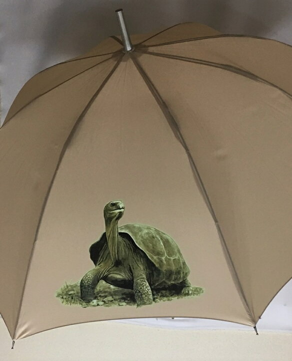 楽天市場 リクガメ ゾウガメ カメ 亀 傘 65cm 直径110cm レディース メンズ 男女兼用 雨傘 かわいい おしゃれ 梅雨 レイングッズ Uvカット 風に強い 耐風 敬老の日 犬と動物 トラストワンポイント