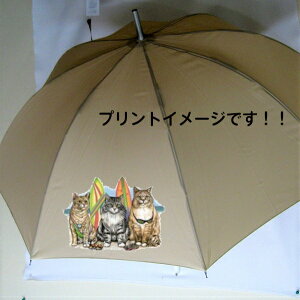 Lbg L ˂ lR iO10j Ovg r[` P 65cm a110cm fB[X Y jp JP 킢  ~J CObY UVJbg ɋ ϕ L ObY v