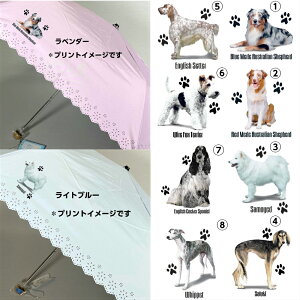 yIׂ钆^V[Yz P ܂肽ݎP 50cm a90cm fB[X JpP JP P O 悯 킢  ~J  ObY vg y I[V[ TGh T[