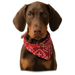 犬 バンダナ おしゃれ その他犬用ペットグッズの通販 価格比較 価格 Com