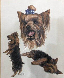 [NV[eAiJbWj P 65cm a110cm fB[X Y jp JP 킢  ~J CObY UVJbg ɋ ϕ   ObY vg