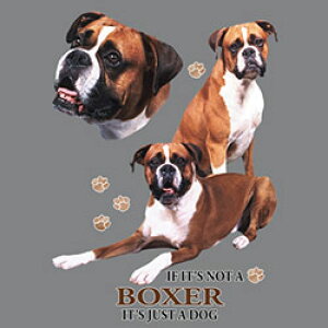 ボクサー(集合2) 傘 65cm 直径110cm レディース メンズ 男女兼用 雨傘 かわいい おしゃれ 梅雨 レイングッズ UVカット 風に強い 耐風 犬柄 いぬ 犬グッズ 犬プリント