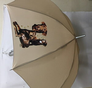 ラブラドールレトリーバー・チョコレート（集合2） 傘 65cm 直径110cm レディース メンズ 男女兼用 雨傘 かわいい おしゃれ 梅雨 レイングッズ UVカット 風に強い 耐風 犬柄 いぬ 犬グッズ 犬プ