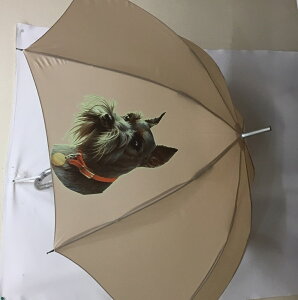 ViEU[iNo.5j P 65cm a110cm fB[X Y jp JP 킢  ~J CObY UVJbg ɋ ϕ   ObY vg